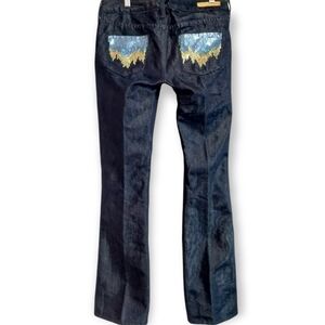 Express Stella Boot Leg Jeans Size 2 Shimmer and Embellished